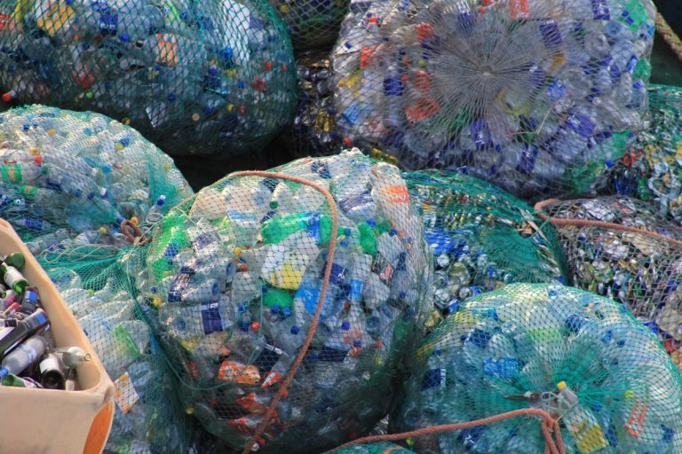 Entretien du jardin et gestion des déchets verts : Les équipements essentiels pour valoriser ses coupes de saison